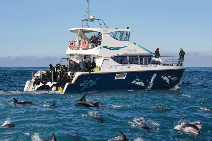 2 Day Kaikoura Whale and Dolphin Tour from Christchurch - Photo 1 of 9